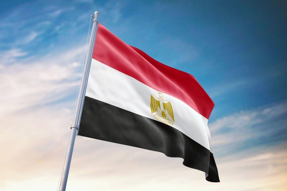 Израильская армия временно приостановила военные действия по гуманитарным причинам