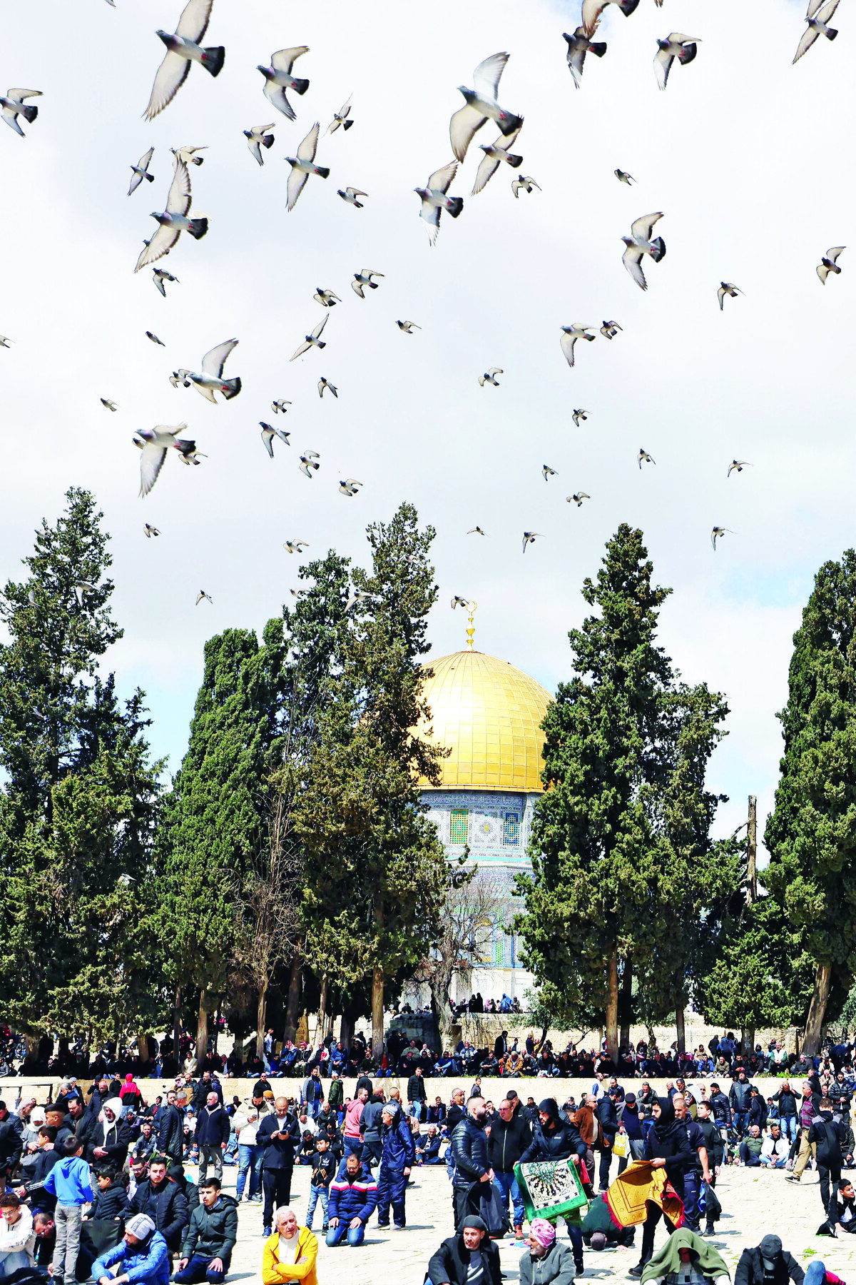 700 израильских семей зарегистрировались для поселения в Газе