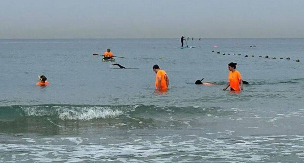 Israeli Police Search for Military Prosecutor's Phone